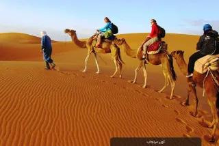 کویر مرنجاب | دریای شن‌های طلایی و آسمان پرستاره