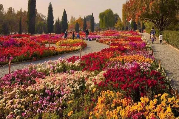 پارکها و فضاهای شهری