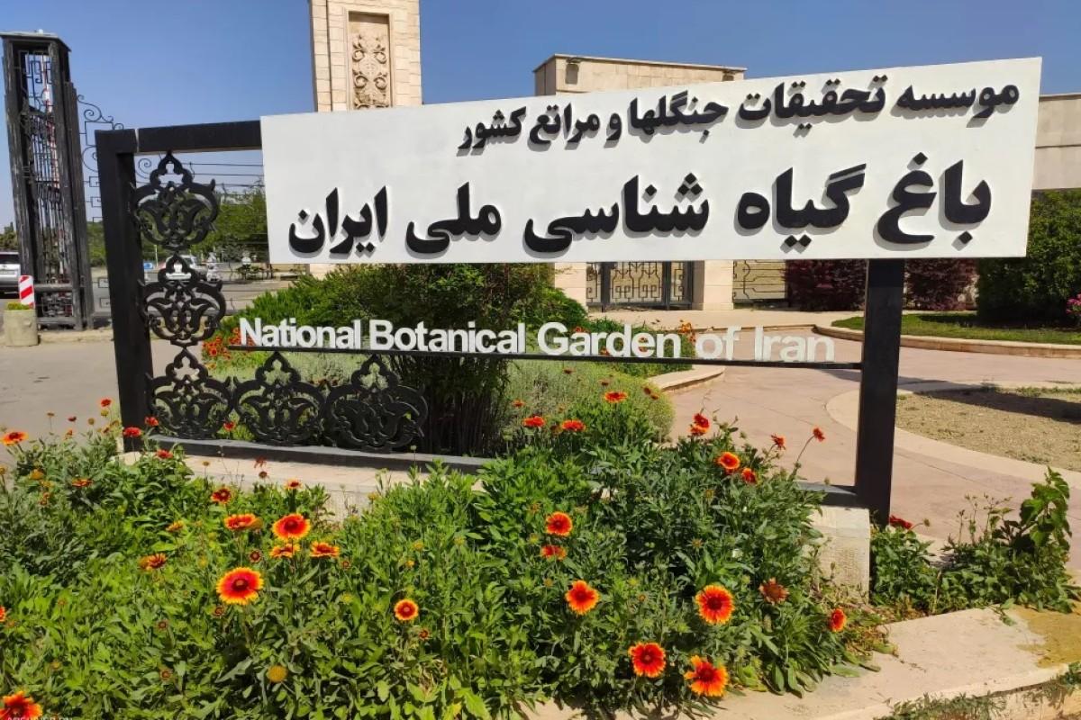 باغ گیاه شناسی ملی ایران - مشاهده عکس بزرگتر باغ گیاه شناسی ملی ایران