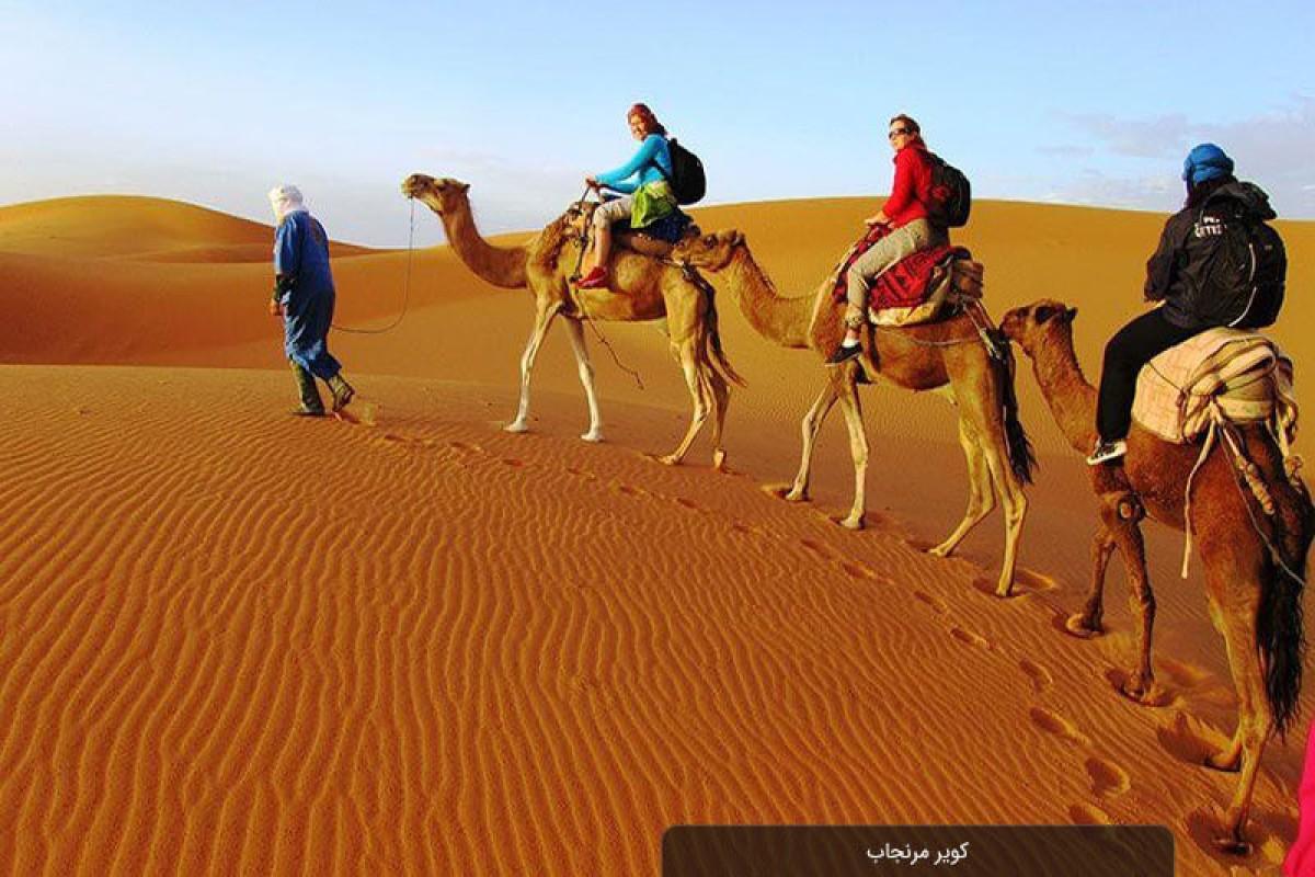کویر مرنجاب | دریای شنهای طلایی و آسمان پرستاره - مشاهده عکس بزرگتر کویر مرنجاب | دریای شنهای طلایی و آسمان پرستاره