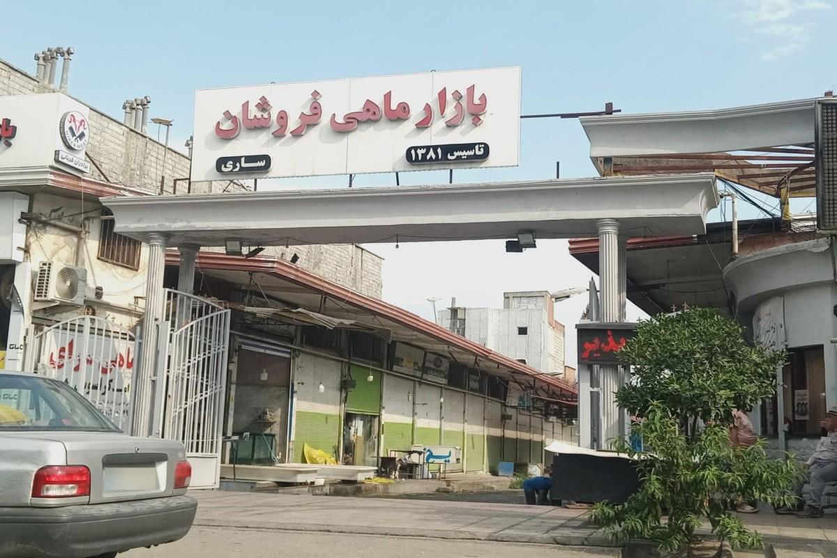 بازار ماهی ساری: راهنمای سفر به بزرگترین بازار آبزیان ایران - مشاهده عکس بزرگتر بازار ماهی ساری: راهنمای سفر به بزرگترین بازار آبزیان ایران